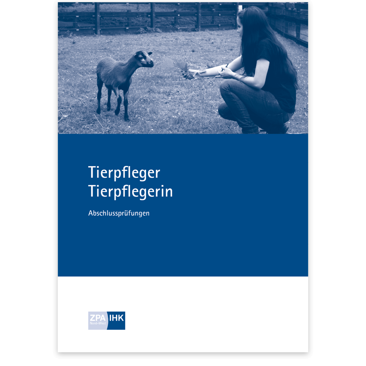 Prüfungskatalog für die IHK-Abschlussprüfung